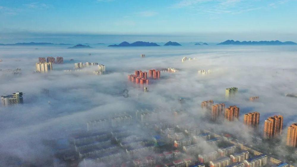 机智问答网页-如果你们遇到这种情况怎么办呢?的最佳答案在线搜索