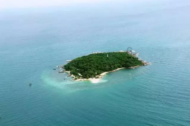 大家都在忙着摘牛油果，有谁注意吴昕在干嘛？连维嘉都忍不住吐槽她了